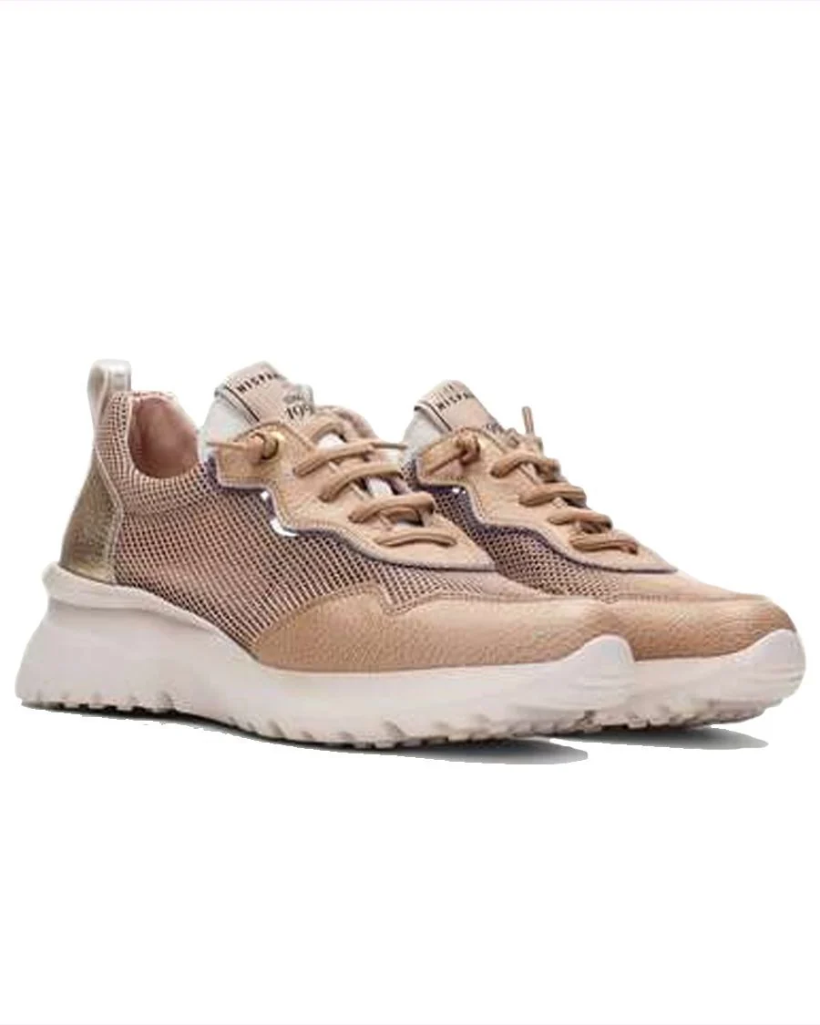 POLINESIA HISPANITAS CHAUSSURE URBAINE - Image 3