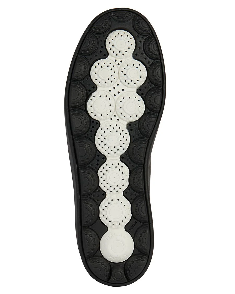 SPHERICA GEOX CHAUSSURE URBAINE - Image 5