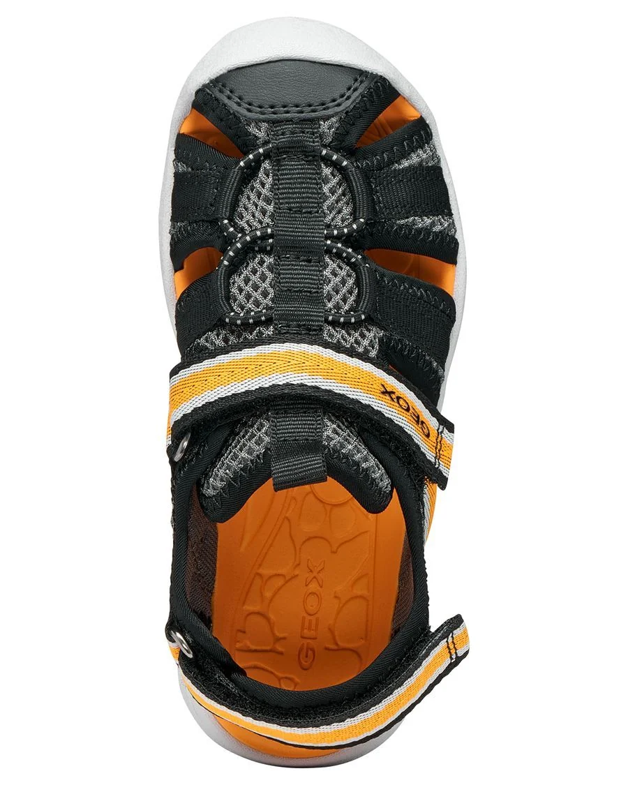 VANIETT GEOX BÉBÉ GARÇON SANDALE - Image 3