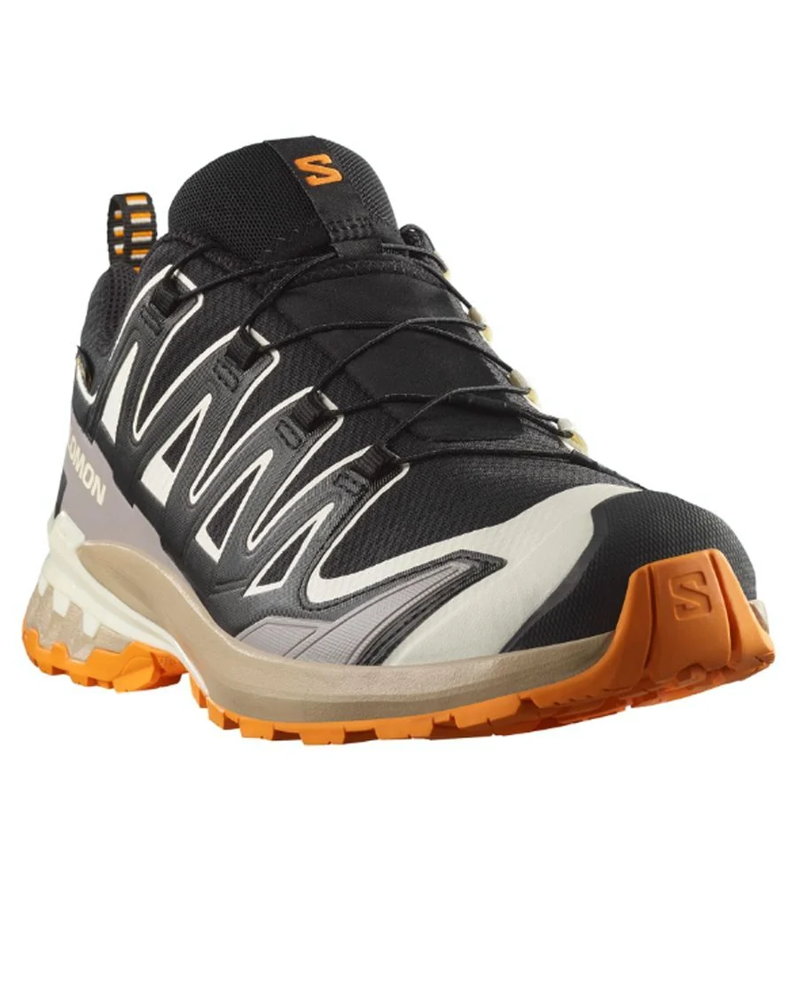 XA PRO 3D GTX SALOMON ESPADRILLE MARCHE - Image 3